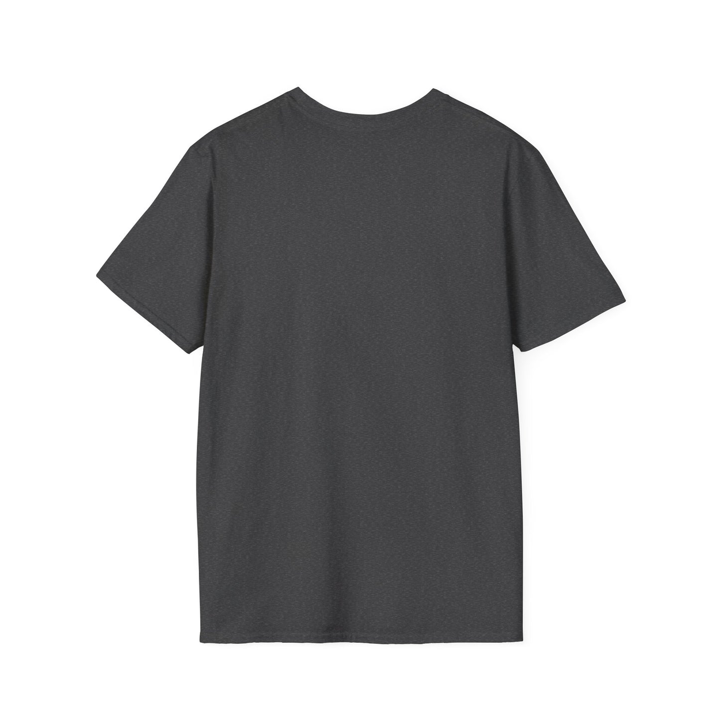 Cozy Readers Book Society T-Shirt, Unisex Softstyle Tee, Fall Reading Shirt, Gift for Book Lovers, Cozy Vibes Apparel