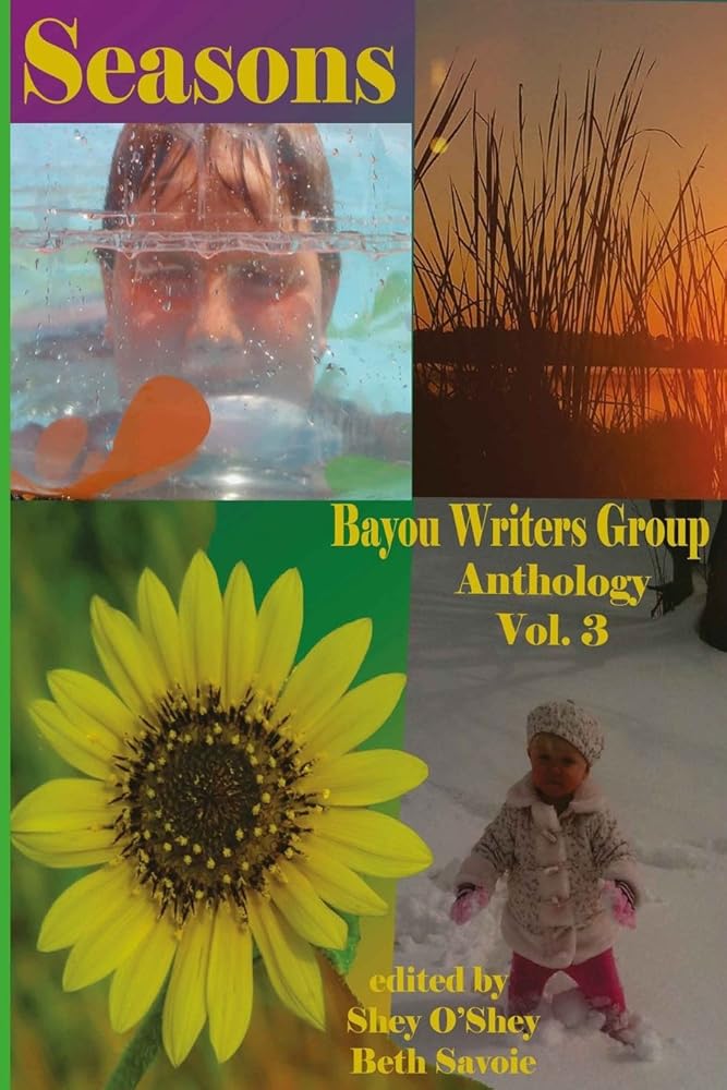 Seasons: Bayou Writers Group Anthology Vol. 3 cover image