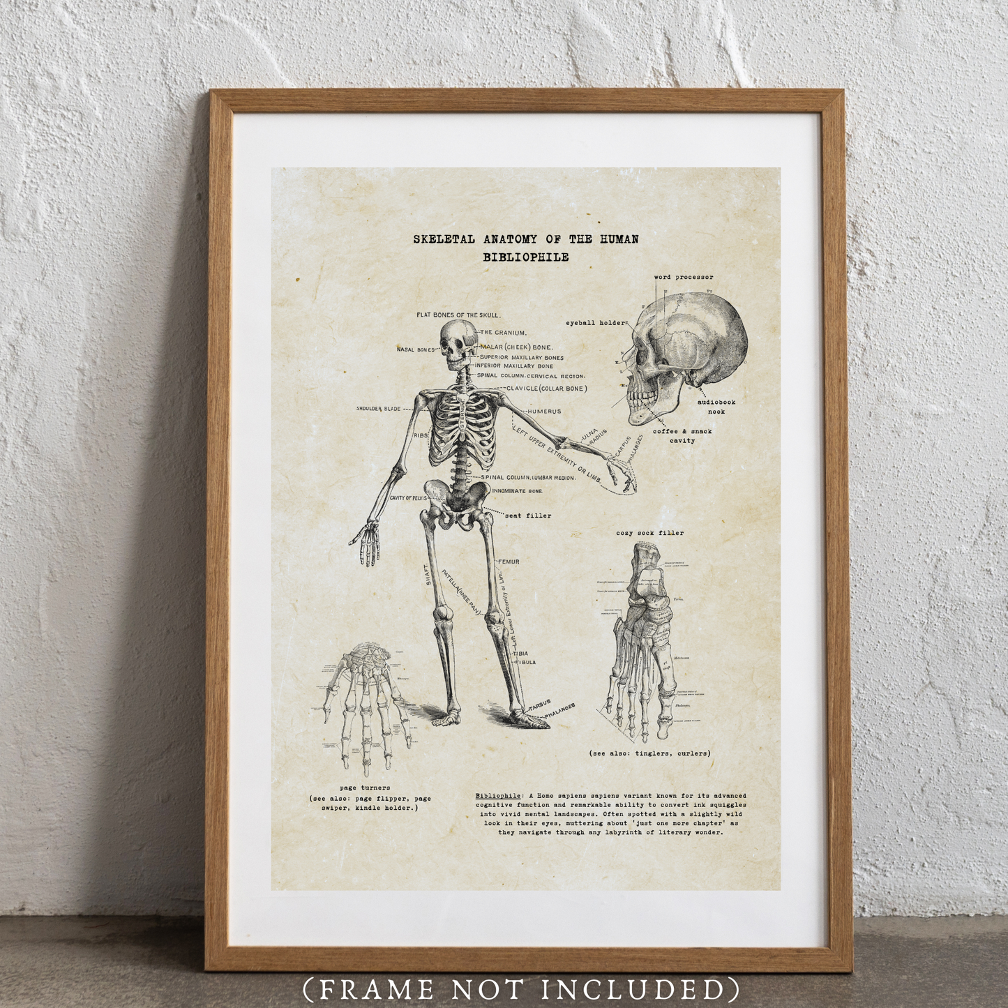 Reader Anatomy Ephemera Prints