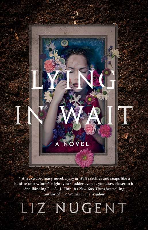 Lying in Wait by Liz Nugent