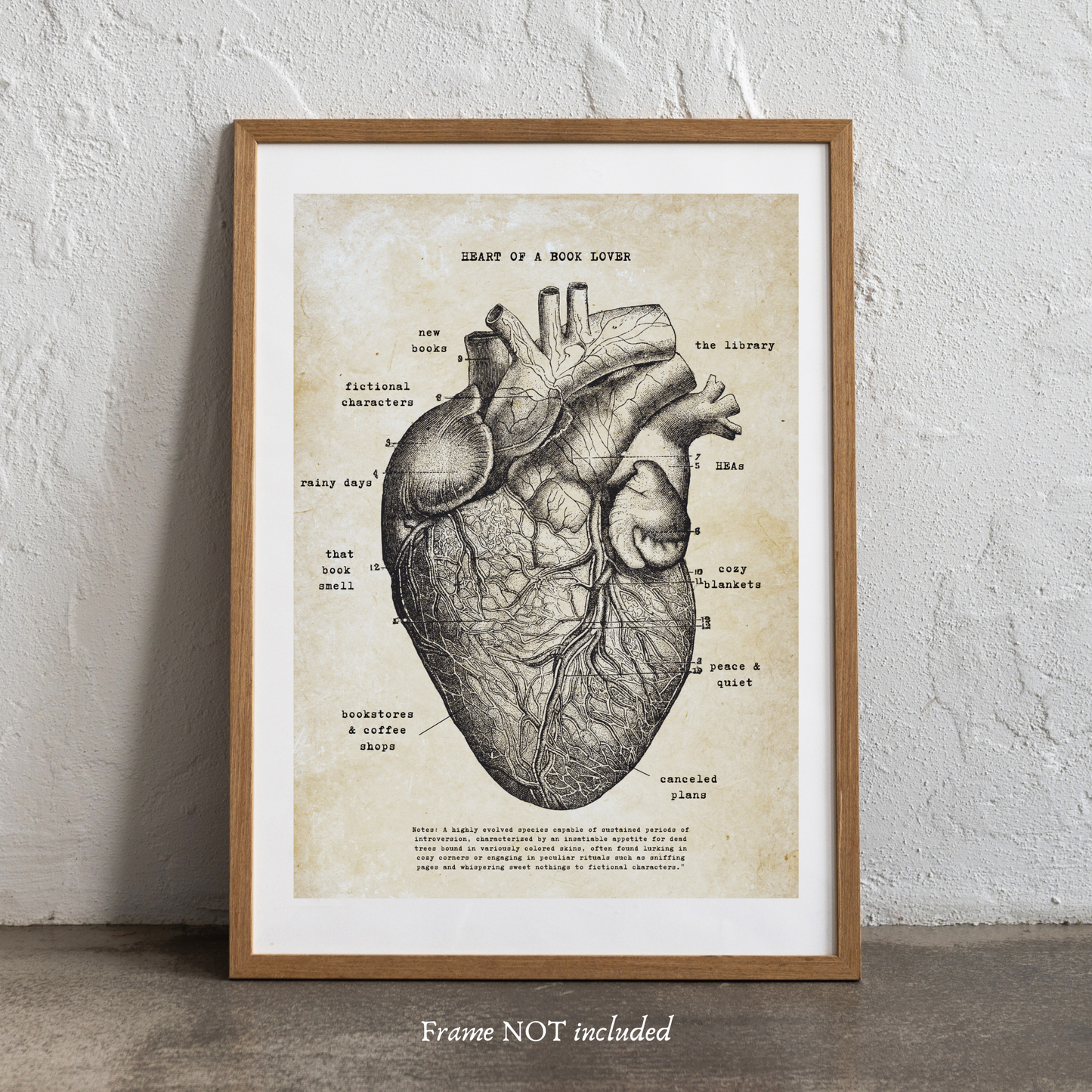 Reader Anatomy Ephemera Prints
