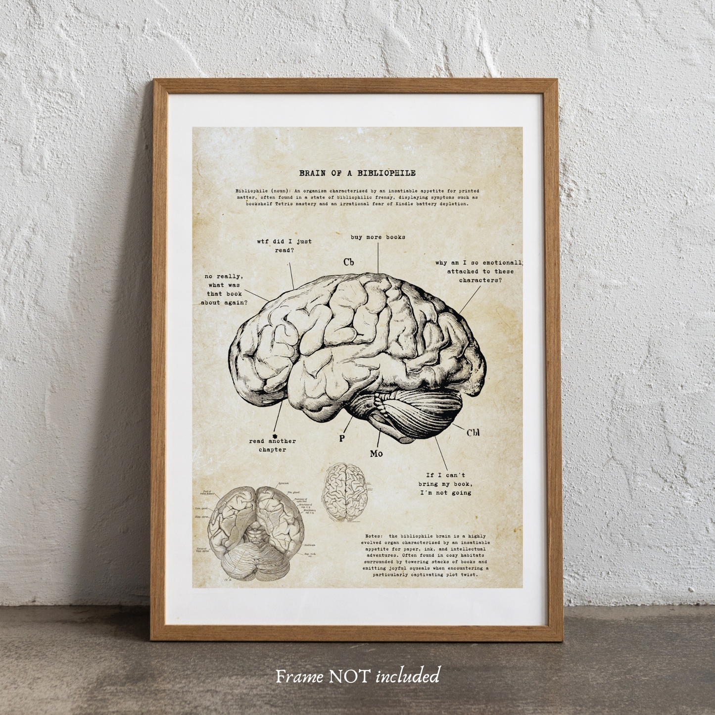 Reader Anatomy Ephemera Prints
