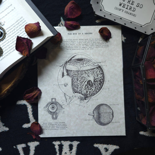 Reader Anatomy Ephemera Prints