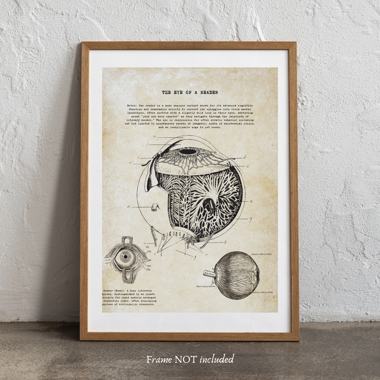 Reader Anatomy Ephemera Prints